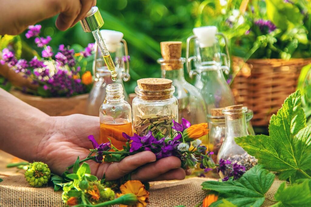 plants-and-herbs-nature-alternative-medicine-se-2026-01-06-10-46-14-utc.jpg